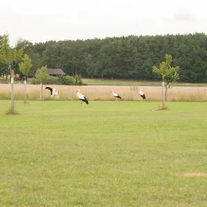  Ferienhaus Häusla Deutschland